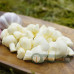 Sýrové uzlíky 230g česnekové - tradiční slovenský sýr Sýrové uzlíky 230g česnekové - tradiční slovenský sýr
